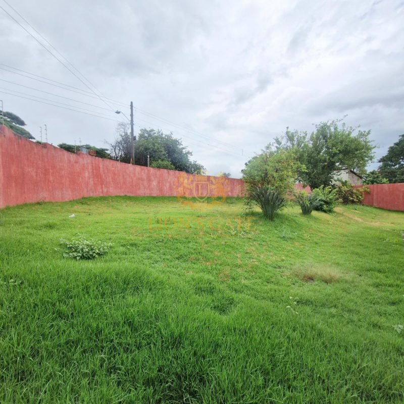 WhatsApp Image 2026-02-11 at 08.01.02 (1)