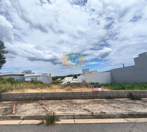 WhatsApp Image 2026-02-12 at 08.33.39