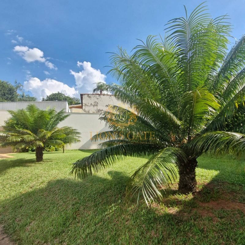 WhatsApp Image 2026-03-17 at 08.49.53